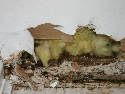 Professional water damage restoration services in South Bend - NobleGuard Response